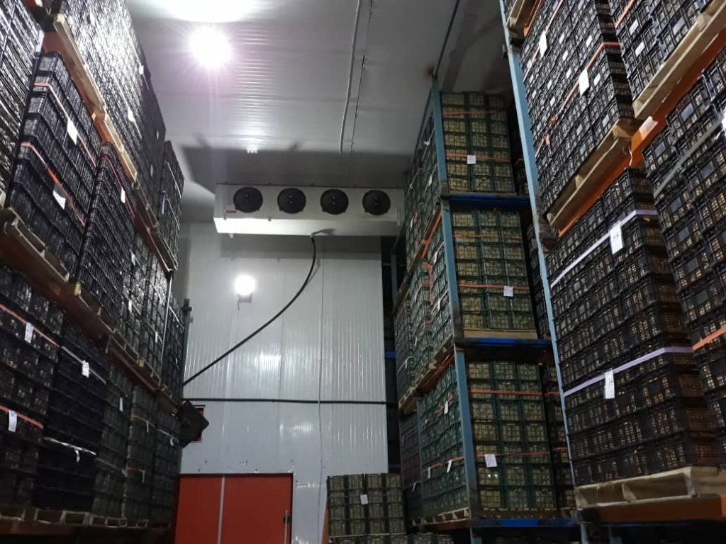 احداث سردخانه 5000 تنی